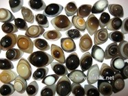 Picture of Small Agate Shiva Eyes