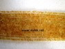 Picture of Citrine Chip Strands, Picture 1