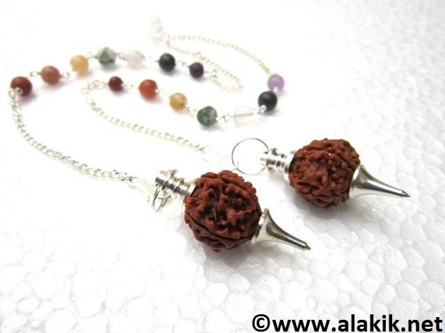 Picture of Rudraksh Pendulum with Chakra Chain