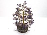 Picture of Amethyst 300bds Tree, Picture 1
