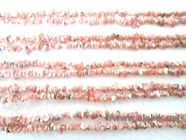 Picture of Rhodochrosite Chip Lines