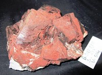 Picture for category Brown Apophyllite