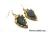 Picture of Bloodstone Eletroplated Arrowhead Earrings, Picture 1