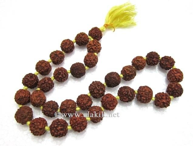 Picture of Big Rudraksha 15mm 33bdas Yellow Note japa mala