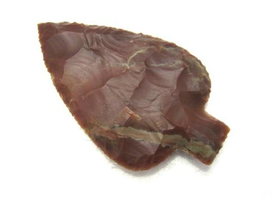 Picture of Big Leaf Shape Arrowhead