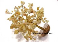 Picture of Yellow Jade 300bds tree with orgone base