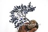 Picture of Lapis 300beads Tree with Wooden Base, Picture 1