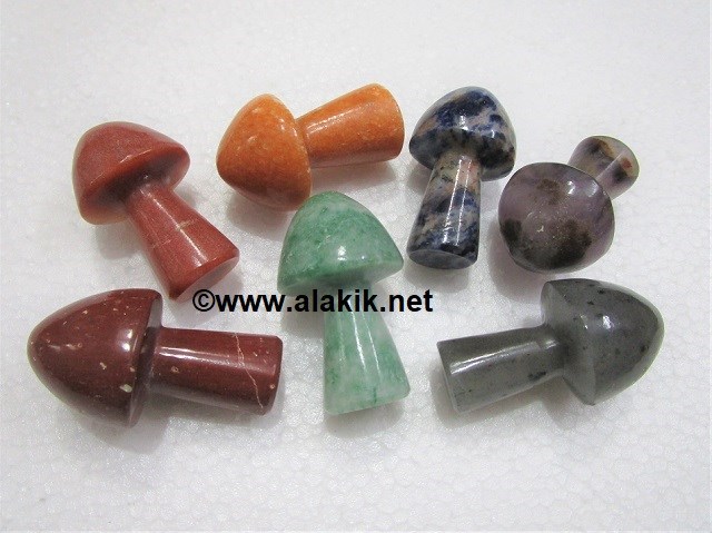 Picture of Chakra Mashroom Set