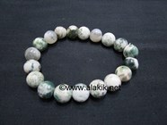 Picture of Tree Agate 10mm Elastic Bracelet