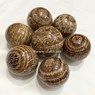 Picture of Aragonite Balls, Picture 1