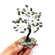 Show details for Golden Pyrite 50bds Tree Picture of Golden Pyrite 50bds Tree