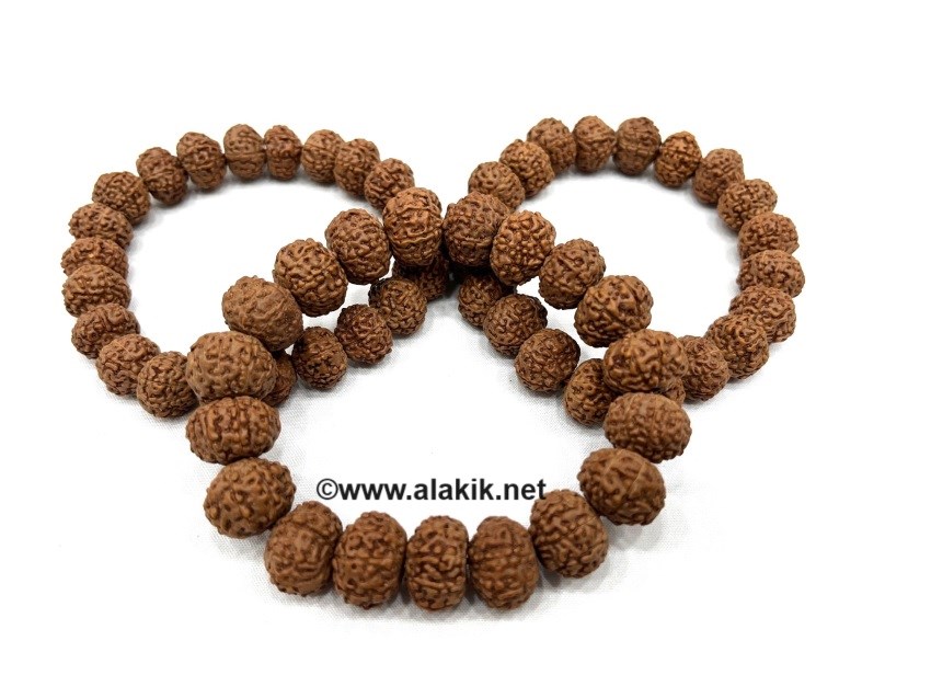 Picture of 7-9 Mukhi Rudraksh 10x15mm Tappered Bracelets