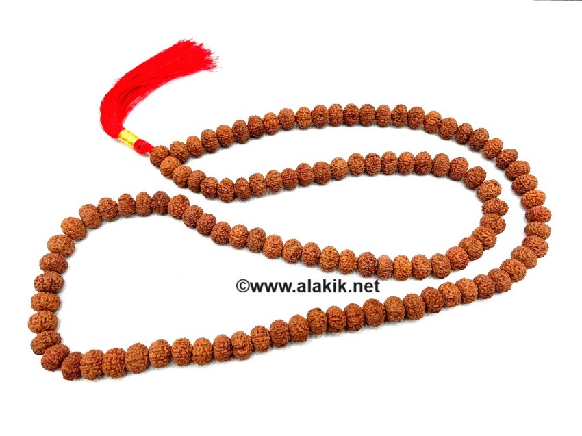 Picture of 7-9 Mukhi Rudraksh 10x15mm Tappered Jap Mala