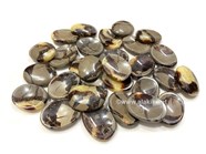 Show details for Septarian Worrystones Picture of Septarian Worrystones