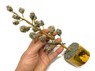 Picture of 20 Beads Pyrite Chunk Golden Tree, Picture 1