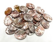 Show details for Rosetta Jasper Worrystone Picture of Rosetta Jasper Worrystone